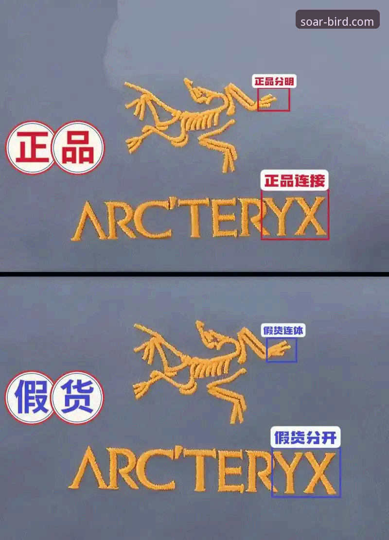 小鸟BIRD正版 vs 仿冒版：哪个更适合飞行体验？A3K8使用教程全面对比