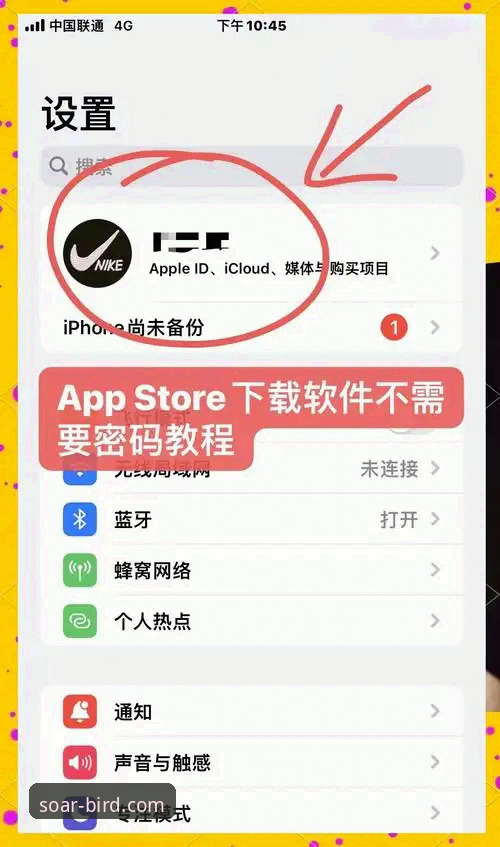 如何正确完成小鸟BIRD怎么下载？从官网获取到安装配置全解析